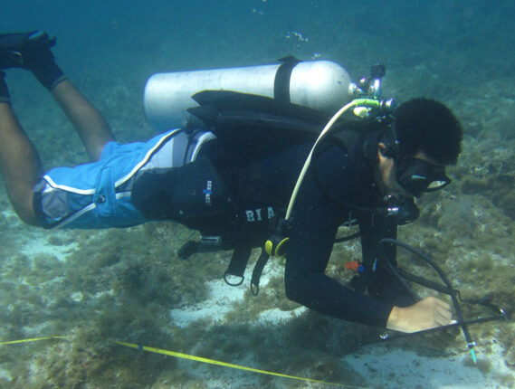BUCEO CIENTIFICO