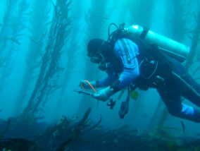 BUCEO CIENTIFICO PARTE 2