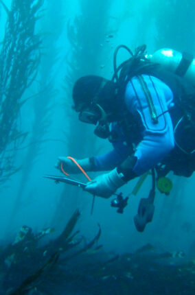 BUCEO CIENTIFICO PARTE 2