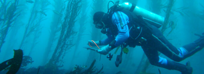BUCEO CIENTIFICO PARTE 2