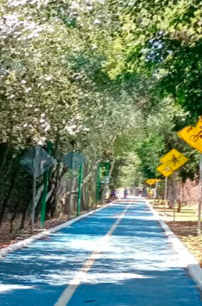 ACOMPAÑAMIENTO TRANSFORMACIONAL PARA EL BIENESTAR