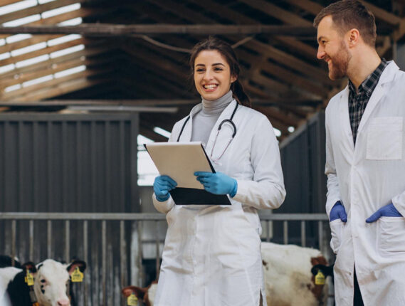 CONTAMINACIÓN Y CONTROL DE CALIDAD DE LA CARNE