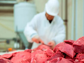 CONTAMINACIÓN Y CONTROL DE CALIDAD DE LA CARNE PARTE 2