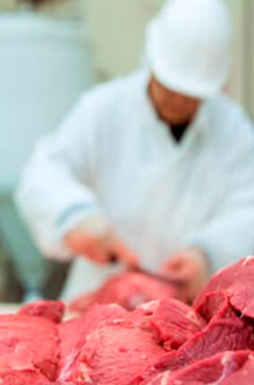 CONTAMINACIÓN Y CONTROL DE CALIDAD DE LA CARNE PARTE 2