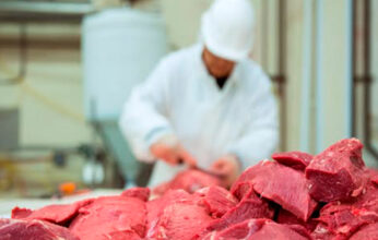 CONTAMINACIÓN Y CONTROL DE CALIDAD DE LA CARNE PARTE 2