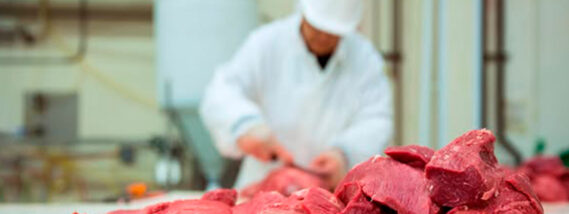 CONTAMINACIÓN Y CONTROL DE CALIDAD DE LA CARNE PARTE 2