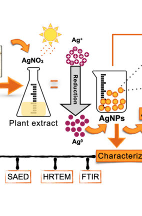 LAS NANOCIENCIAS Y APLICACIONES EN CIENCIAS AGROAGRICOLAS
