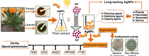 LAS NANOCIENCIAS Y APLICACIONES EN CIENCIAS AGROAGRICOLAS