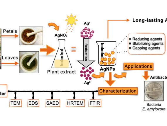 LAS NANOCIENCIAS Y APLICACIONES EN CIENCIAS AGROAGRICOLAS