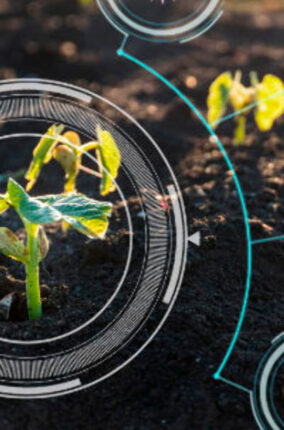 LAS NANOCIENCIAS Y APLICACIONES EN CIENCIAS AGROAGRICOLAS PARTE 2