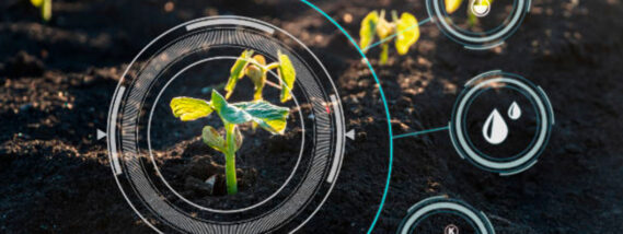 LAS NANOCIENCIAS Y APLICACIONES EN CIENCIAS AGROAGRICOLAS PARTE 2