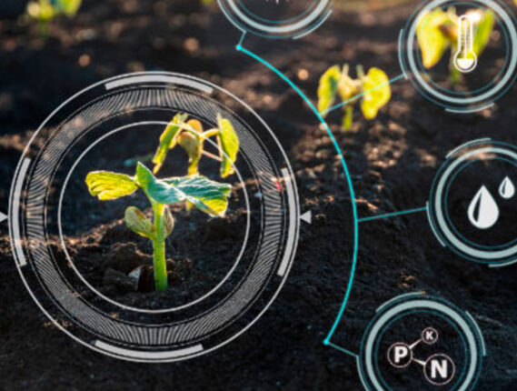 LAS NANOCIENCIAS Y APLICACIONES EN CIENCIAS AGROAGRICOLAS PARTE 2