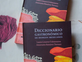 DICCIONARIO GASTRONÓMICO DE HONGOS MEXICANOS