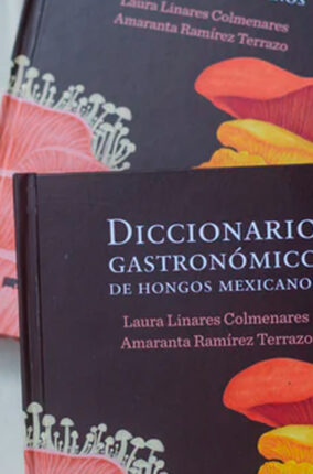 DICCIONARIO GASTRONÓMICO DE HONGOS MEXICANOS