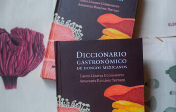 DICCIONARIO GASTRONÓMICO DE HONGOS MEXICANOS