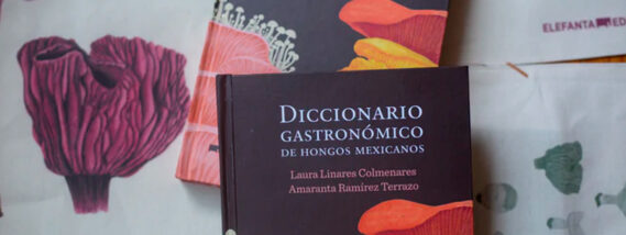 DICCIONARIO GASTRONÓMICO DE HONGOS MEXICANOS