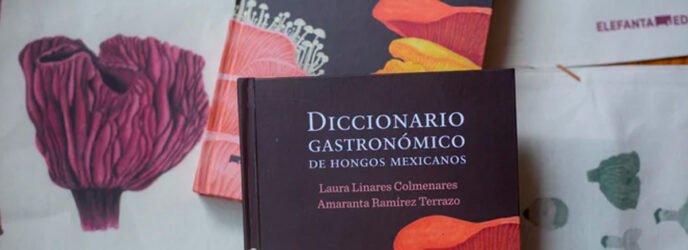 DICCIONARIO GASTRONÓMICO DE HONGOS MEXICANOS