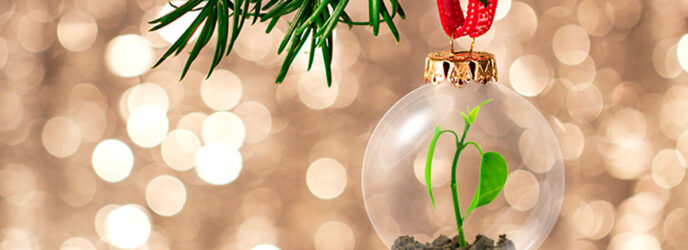 UNA NAVIDAD MÁS SUSTENTABLE