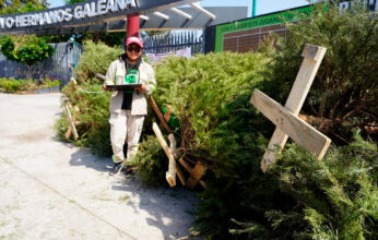 RECICLAJE DE ÁRBOLES DE NAVIDAD