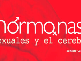 LAS HORMONAS SEXUALES Y EL CEREBRO