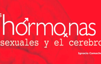 LAS HORMONAS SEXUALES Y EL CEREBRO