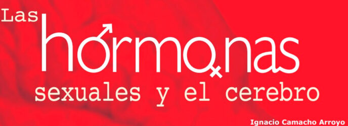 LAS HORMONAS SEXUALES Y EL CEREBRO