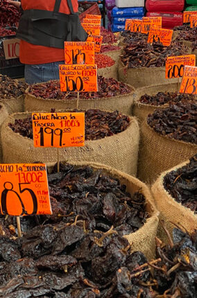 LOS CHILES DEL MÉXICO DIVERSO, MULTIÉTNICO Y PLURILINGÜÍSTICO