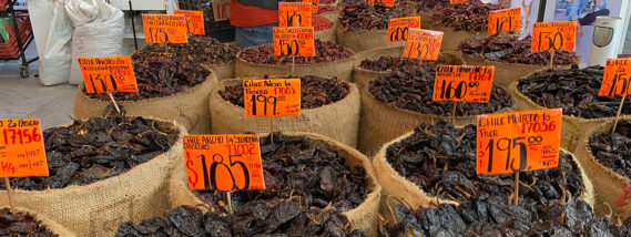 LOS CHILES DEL MÉXICO DIVERSO, MULTIÉTNICO Y PLURILINGÜÍSTICO