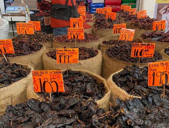 LOS CHILES DEL MÉXICO DIVERSO, MULTIÉTNICO Y PLURILINGÜÍSTICO