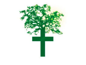 LA IGLESIA CATÓLICA Y LA ECOLOGÍA