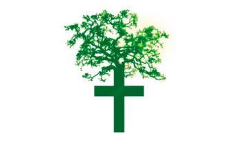 LA IGLESIA CATÓLICA Y LA ECOLOGÍA