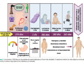 PROGRAMACIÓN FETAL PARTE 2