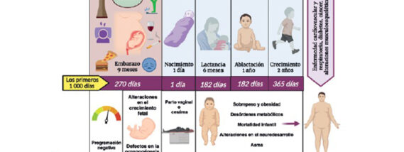 PROGRAMACIÓN FETAL PARTE 2