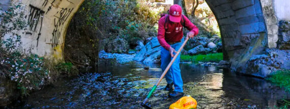 RECUPERACIÓN DE RÍOS DEL VALLE DE MÉXICO MEDIANTE EL TRATAMIENTO DE AGUA