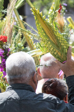 LA PALMA SOYATE, TEJIDO Y TRADICIÓN DE MÉXICO PARTE 2