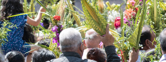 LA PALMA SOYATE, TEJIDO Y TRADICIÓN DE MÉXICO PARTE 2