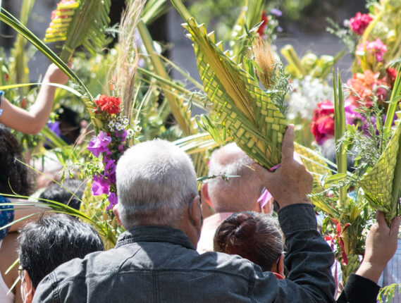 LA PALMA SOYATE, TEJIDO Y TRADICIÓN DE MÉXICO PARTE 2