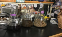 BLOQUEADORES SOLARES NATURALES PARTE 2