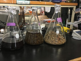 BLOQUEADORES SOLARES NATURALES PARTE 2