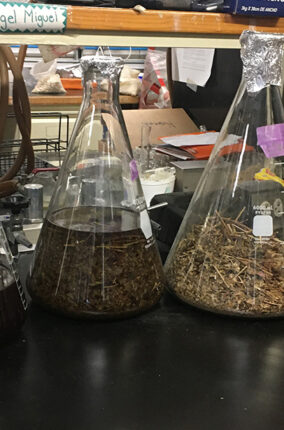 BLOQUEADORES SOLARES NATURALES PARTE 2