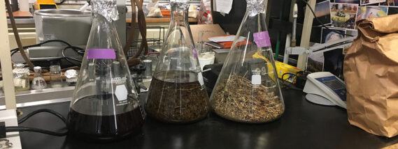 BLOQUEADORES SOLARES NATURALES PARTE 2