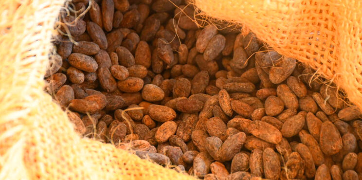 CADMIO EN ALIMENTOS CADMIO EN ALIMENTOS