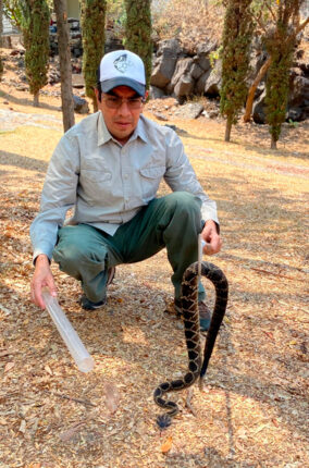 LA SERPIENTE EN EL ESCUDO NACIONAL