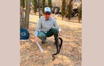 LA SERPIENTE EN EL ESCUDO NACIONAL