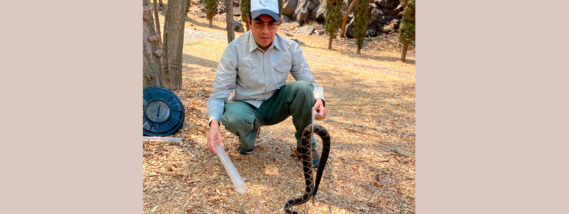 LA SERPIENTE EN EL ESCUDO NACIONAL
