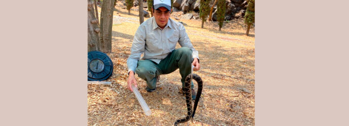 LA SERPIENTE EN EL ESCUDO NACIONAL