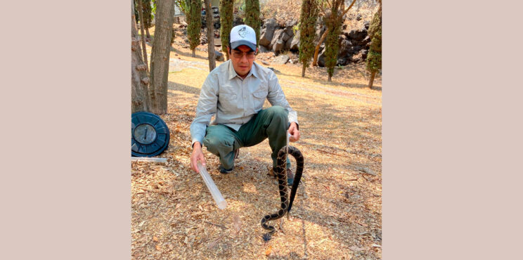 LA SERPIENTE EN EL ESCUDO NACIONAL LA SERPIENTE EN EL ESCUDO NACIONAL