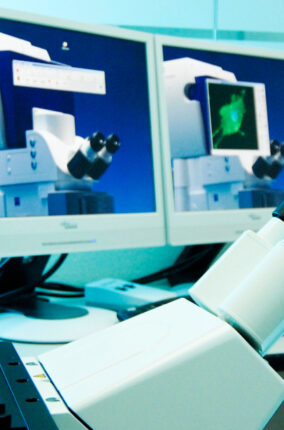 EL PAPEL DE LA CIENCIA EN MÉXICO